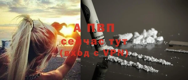 винт Галич