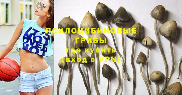 круглые Вязьма
