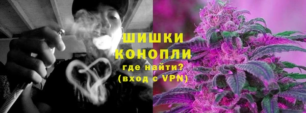 ALPHA PVP Новозыбков