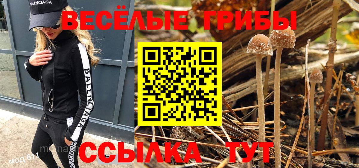 Ипатово  Псилоцибиновые грибы MAGIC MUSHROOMS  Псилоцибиновые грибы мухоморы  купить  цена  Вход с VPN 