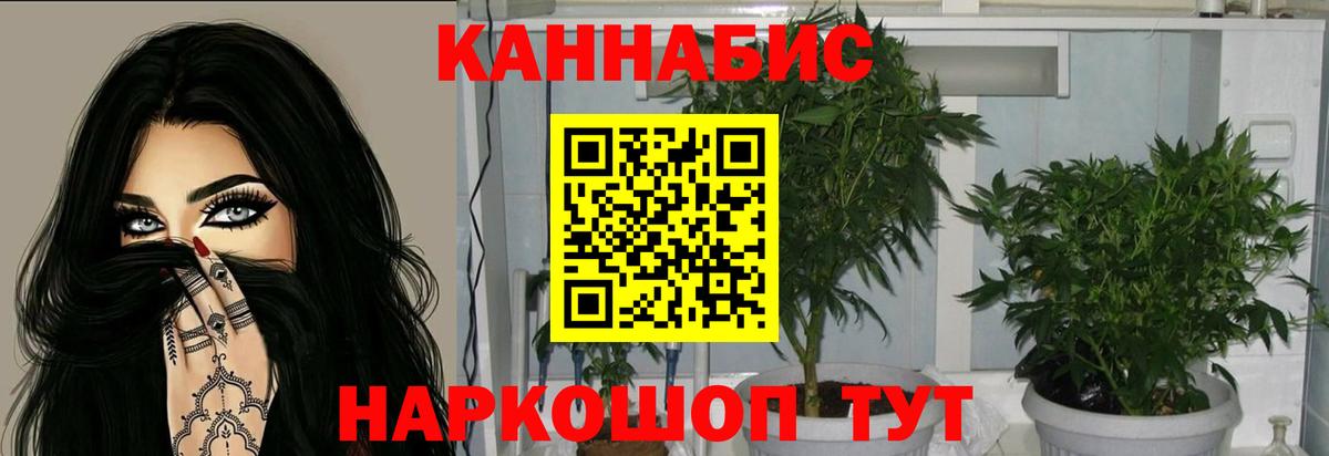 МАРИХУАНА SATIVA & INDICA  Каннабис сатива  Конопля AK-47  Ипатово  Вход с VPN  Канабис сатива 